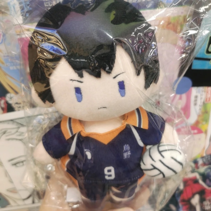 Gggg Plush Doll Retractable Ha - огляд і ціна Anime Merchandise Haikyuu