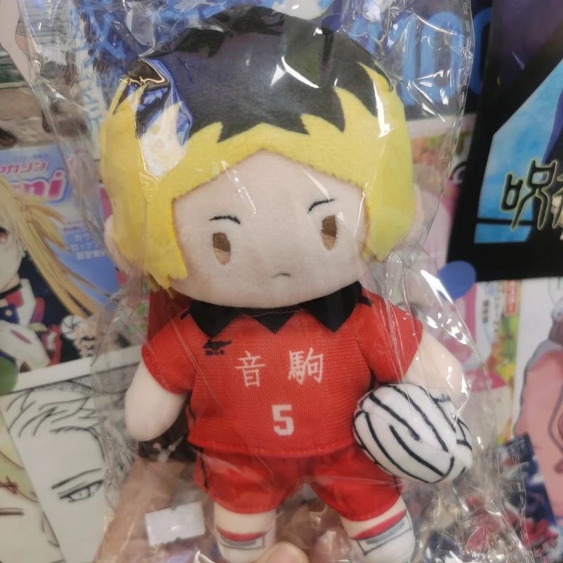 Gggg Plush Doll Retractable Ha - огляд і ціна Anime Merchandise Haikyuu
