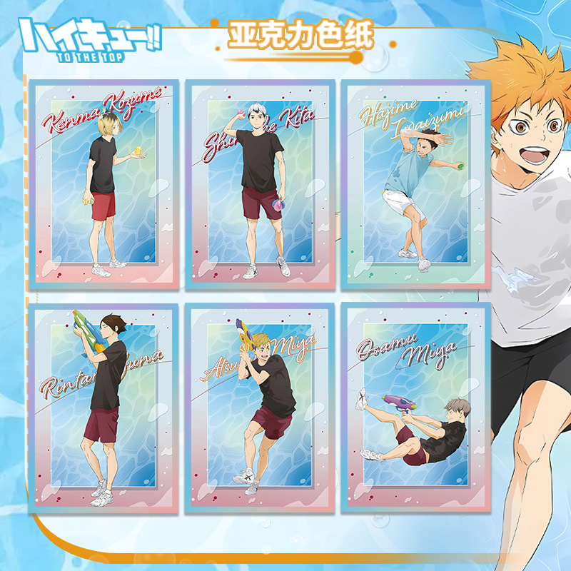 Haikyuu Volleyball Anime Acryl - огляд і ціна Anime Merchandise Haikyuu