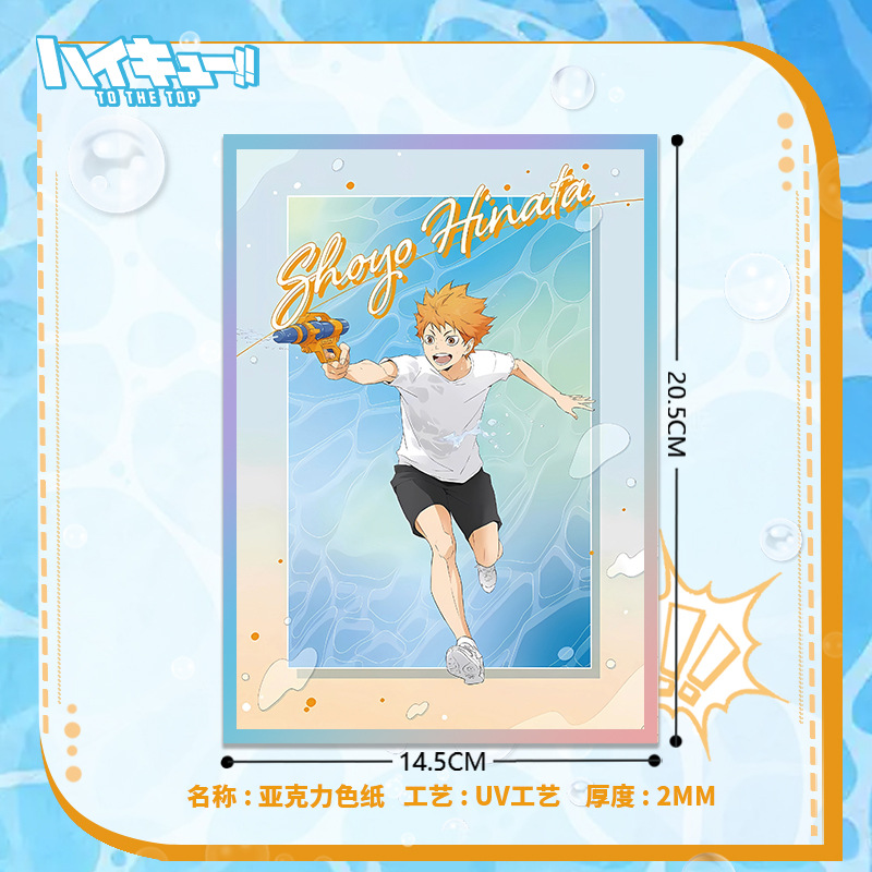 Haikyuu Volleyball Anime Acryl - огляд і ціна Anime Merchandise Haikyuu